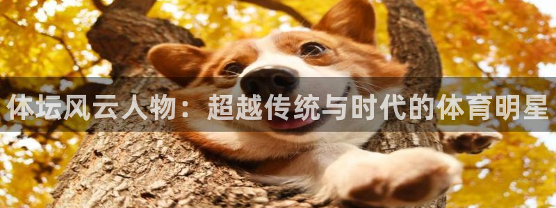 米兰体育官网下载招商电话地址查询：体坛风云人物：超越