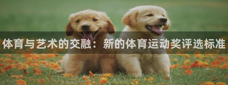 米兰体育官方正版app集团E.ON：体育与艺术的交融
