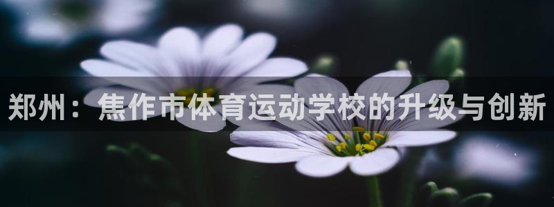 米兰体育官方正版app代理：郑州：焦作市体育运动学校的升级与