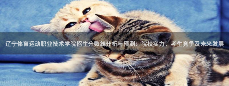 米兰体育官网下载招商电话号码查询：辽宁体育运动职业技