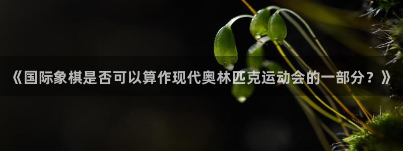 米兰体育官方正版app娱乐网站：《国际象棋是否可以算