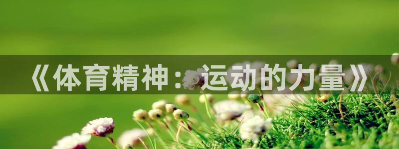 米兰体育官网下载平台注册：《体育精神：运动的力量》