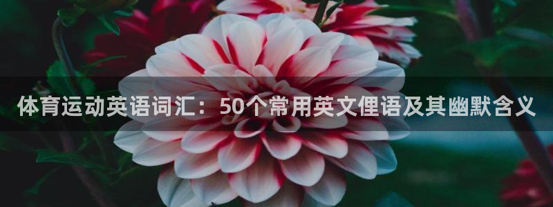 米兰体育官方正版app娱乐首页网站大全：体育运动英语词汇：5