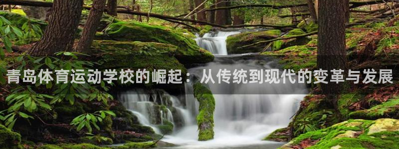 米兰体育官方正版app开户：青岛体育运动学校的崛起：从传统到