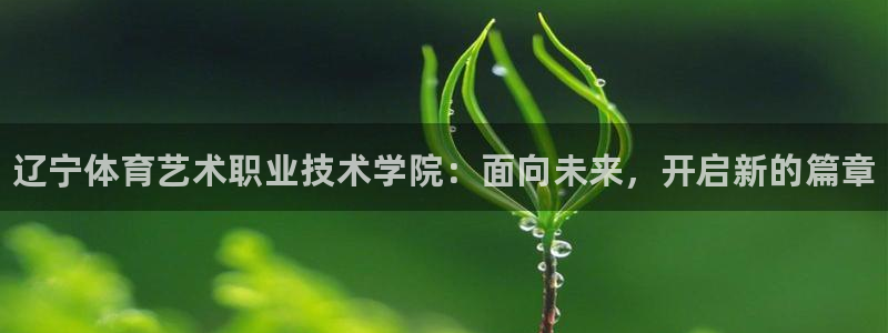 米兰体育官网下载平台是正规平台吗安全吗：辽宁体育艺术