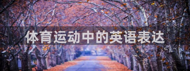 海南米兰体育官网下载：体育运动中的英语表达