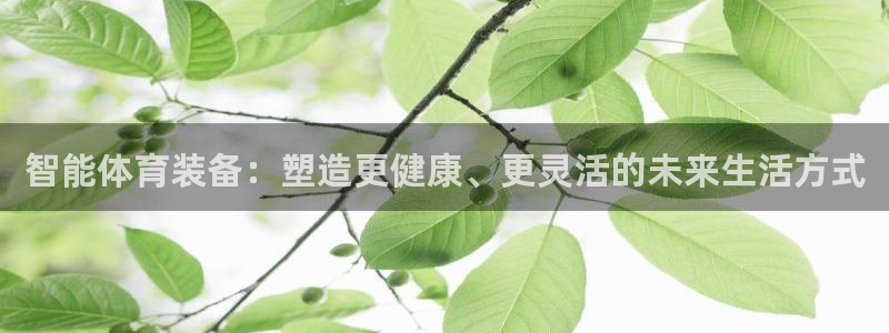 注册米兰体育官方正版app：智能体育装备：塑造更健康、更灵活