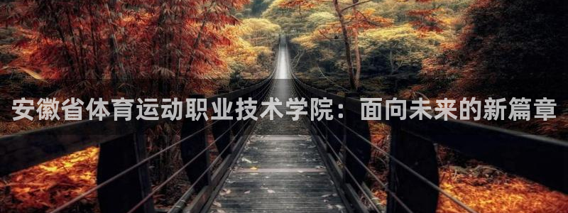 米兰体育官网下载招商电话号码查询是多少：安徽省体育运