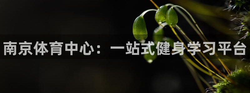 米兰体育官网下载招商电话号码是多少号：南京体育中心：