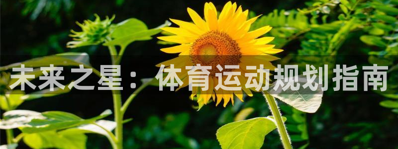 米兰体育官网下载招商电话地址查询：未来之星：体育运动规划指南