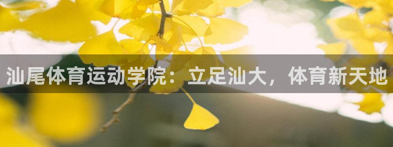 米兰体育官方正版app集团logo