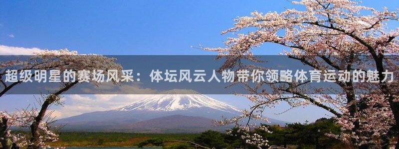 米兰体育官方正版app开户