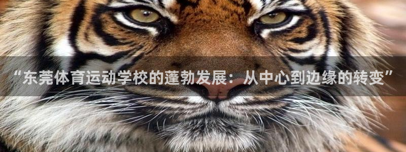 米兰体育官网下载平台是正规平台吗安全吗:“东莞体育运动学校的