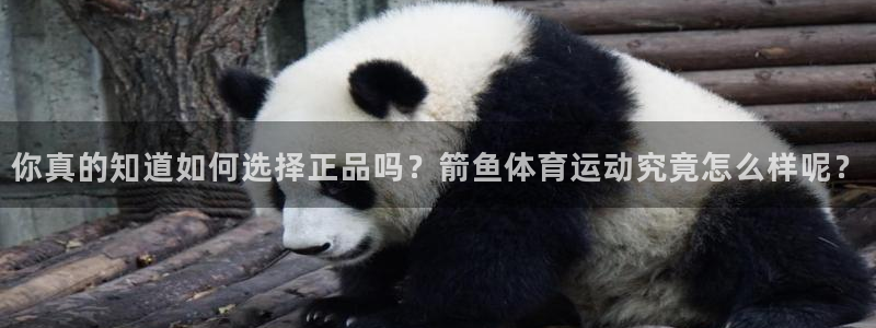 米兰体育官网下载娱乐：你真的知道如何选择正品吗？箭鱼体育运动