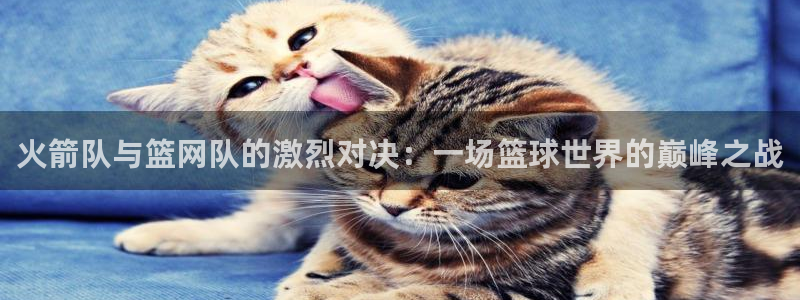 新球体育赛事：火箭队与篮网队的激烈对决：一场篮球世界的巅峰之战