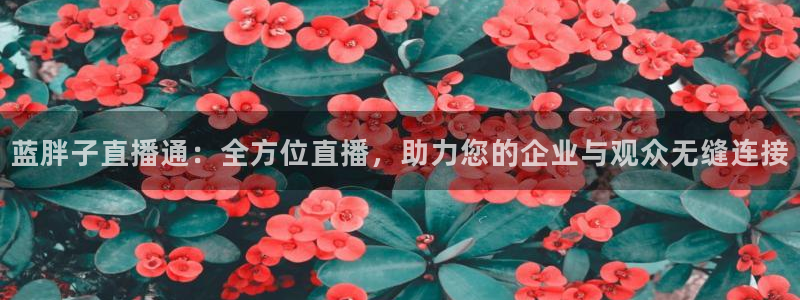新球网直播：蓝胖子直播通：全方位直播，助力您的企业与观众无缝连接