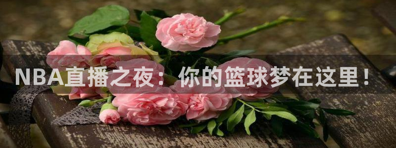 新体球即时比分新球体育：NBA直播之夜：你的篮球梦在这里！