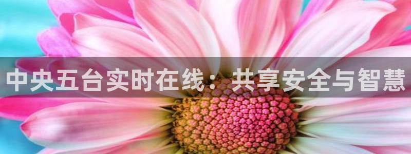 新球体育比分：中央五台实时在线：共享安全与智慧