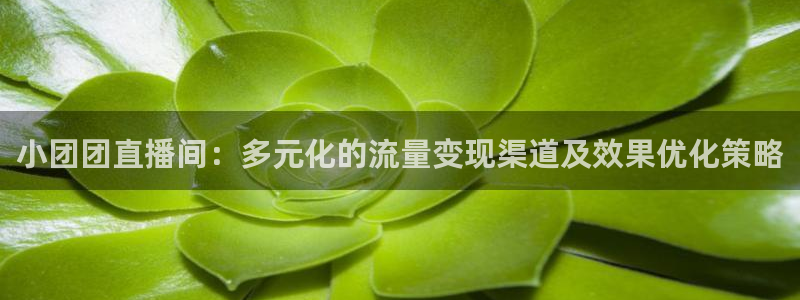 新球体育足球官网：小团团直播间：多元化的流量变现渠道及效果优化策略