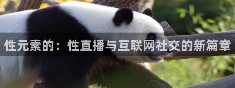 新球足球：性元素的：性直播与互联网社交的新篇章