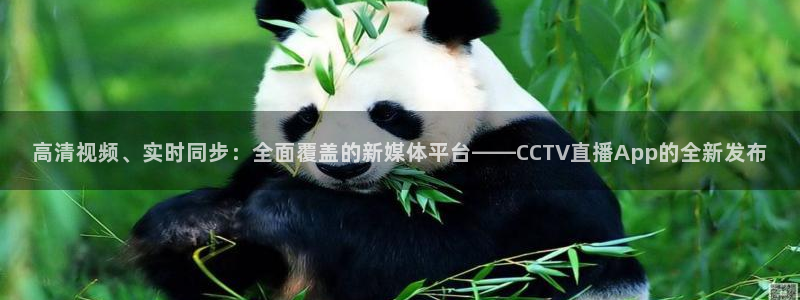 新球体育完整版：高清视频、实时同步：全面覆盖的新媒体平台——CCTV直播App的全新发布