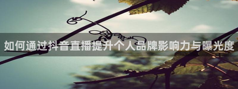 新球网直播：如何通过抖音直播提升个人品牌影响力与曝光度