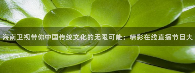 新球体育足球比分：海南卫视带你中国传统文化的无限可能：精彩在线直播节目大