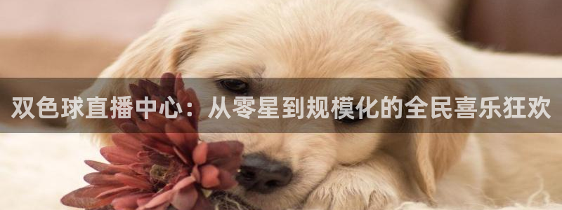 新球体育比分网：双色球直播中心：从零星到规模化的全民喜乐狂欢
