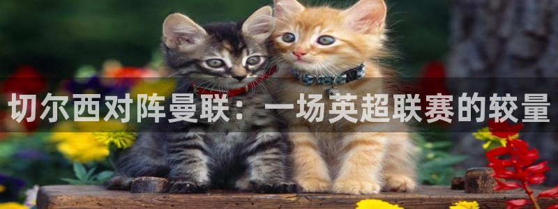 新球：切尔西对阵曼联：一场英超联赛的较量